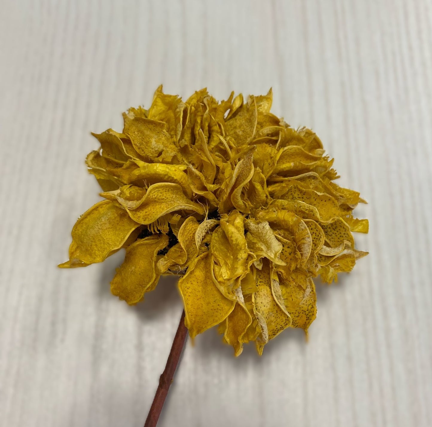 Fiore in legno
